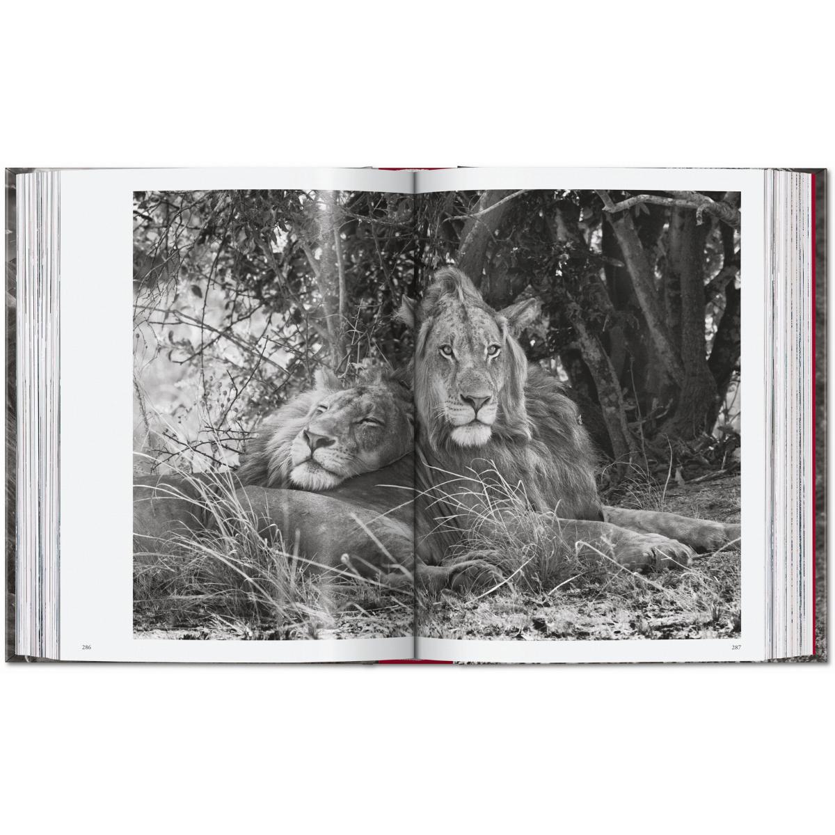 Sebastião Salgado. Genesis. 45th Ed. (Capa dura) 14