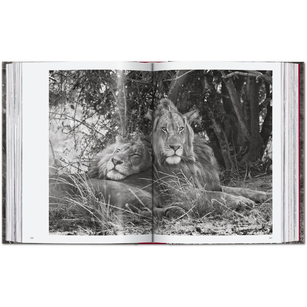 Sebastião Salgado. Genesis. 45th Ed. (Capa dura) 14