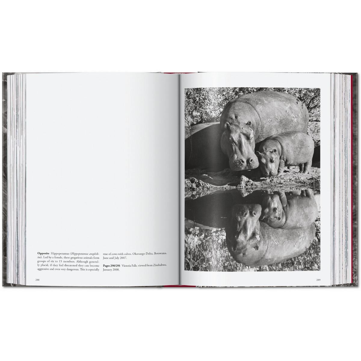 Sebastião Salgado. Genesis. 45th Ed. (Capa dura) 16