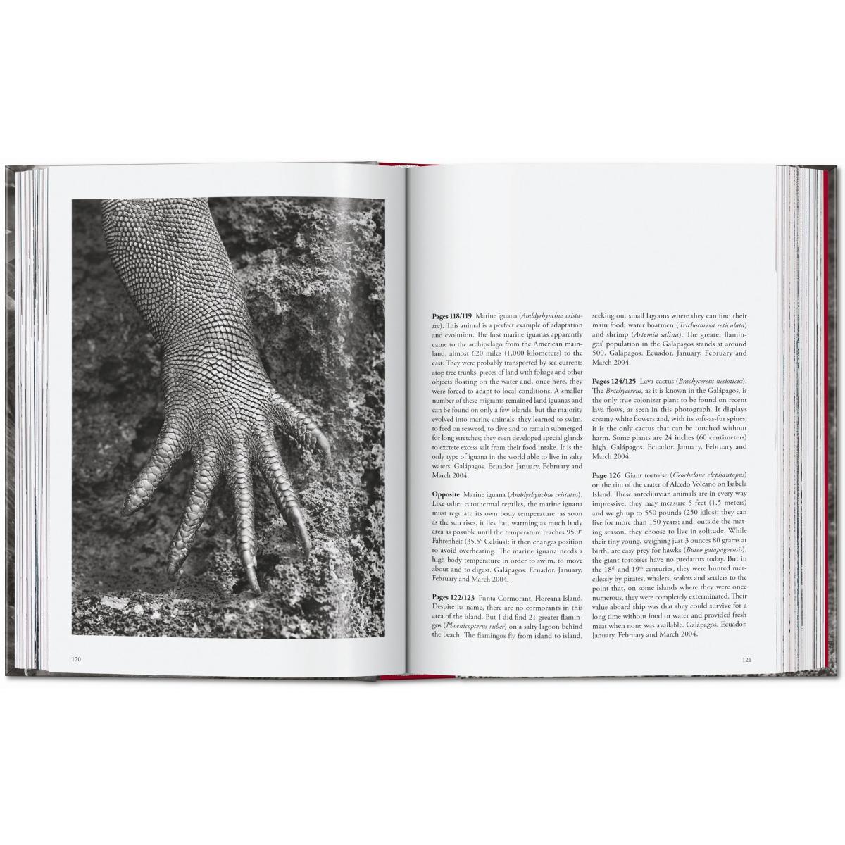 Sebastião Salgado. Genesis. 45th Ed. (Capa dura) 17