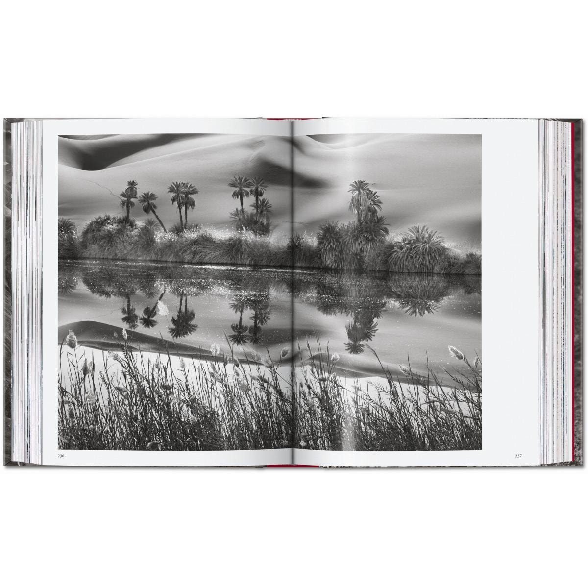 Sebastião Salgado. Genesis. 45th Ed. (Capa dura) 18