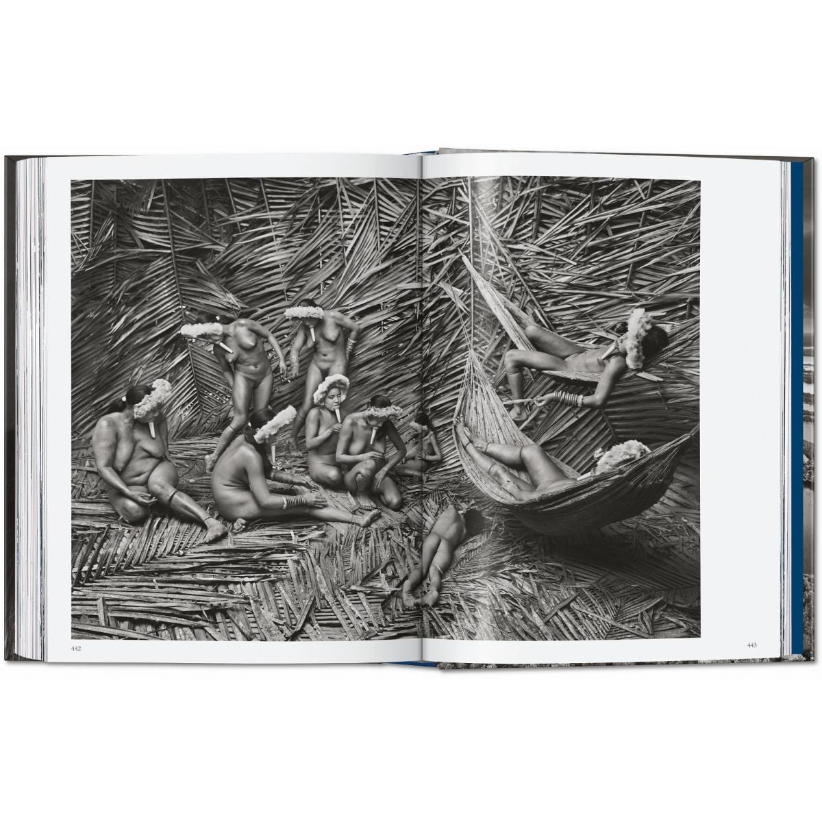 Sebastião Salgado. Amazônia. 45th Ed. (Capa dura) 3