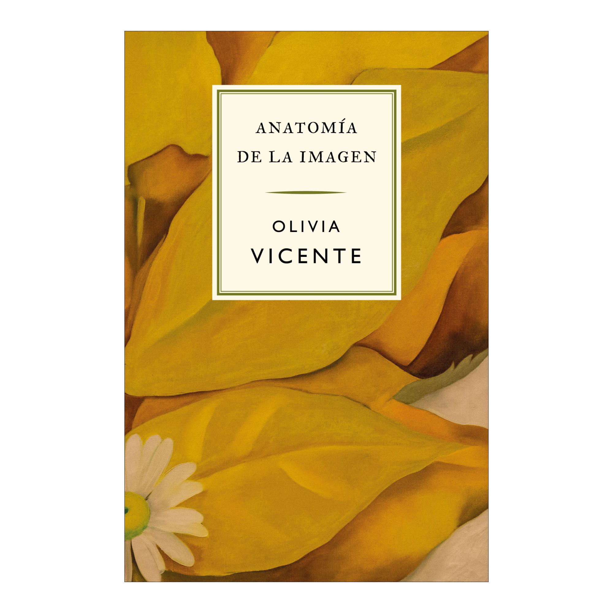 Imagem 0 de Anatomía de la imagen (Capa mole com abas)