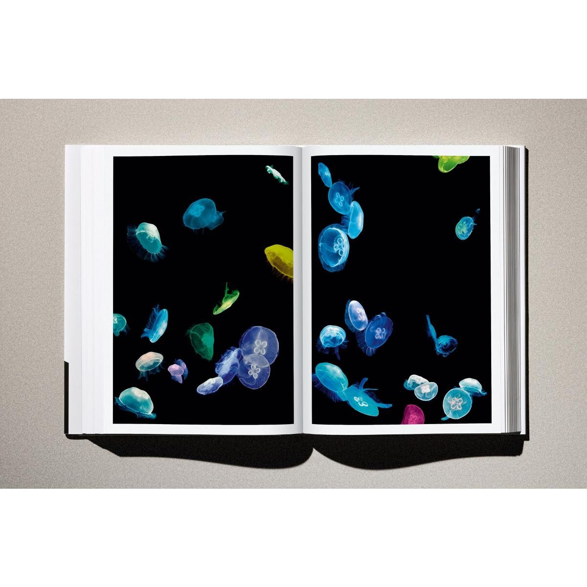 Albert Watson. Kaos (Capa dura) 4