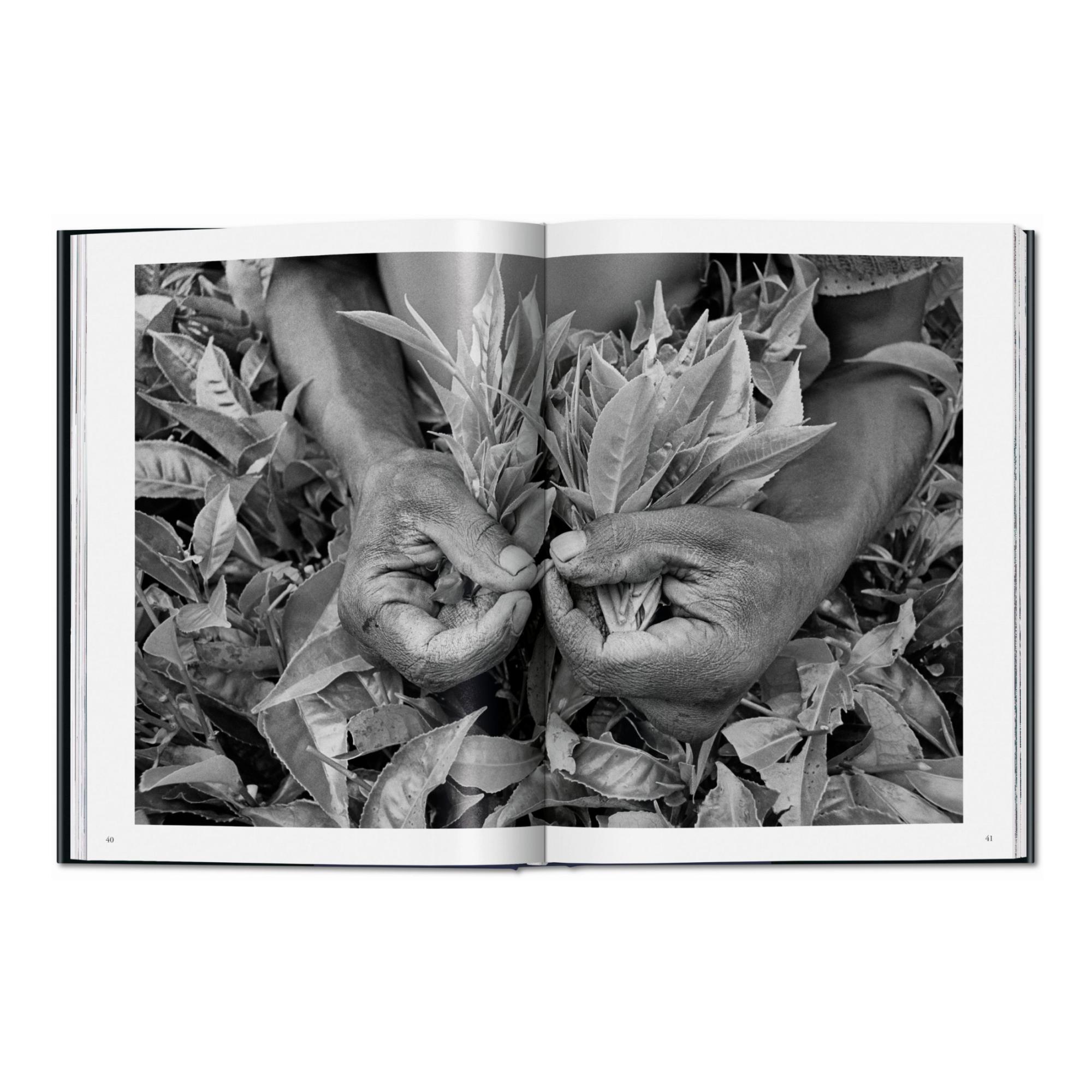 Sebastião salgado.Trabalhadores.Uma arquelogigia da era industrial (Capa dura) 8
