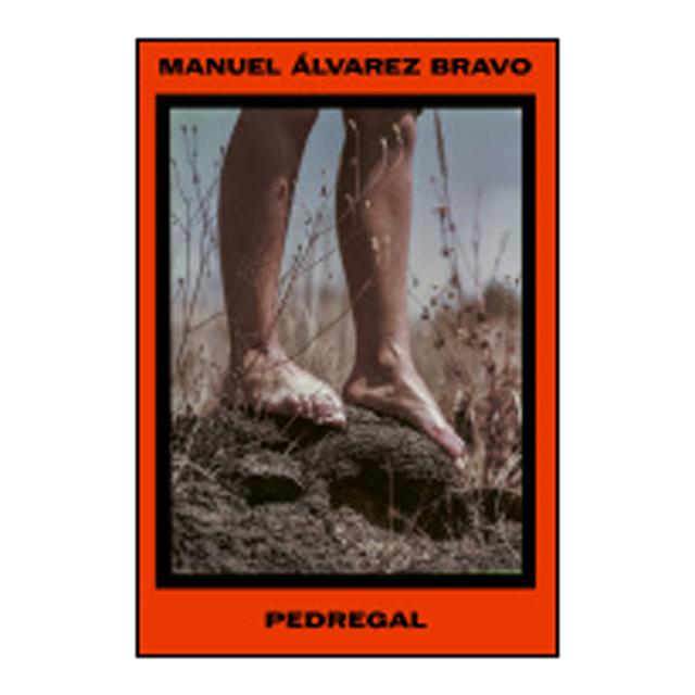 Manuel Álvarez Bravo. Pedregal (Capa mole) 1