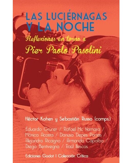 Las Luciérnagas Y La Noche 1