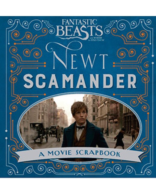 Fantastic Beasts And Where To Find Them- Newt Santander 1