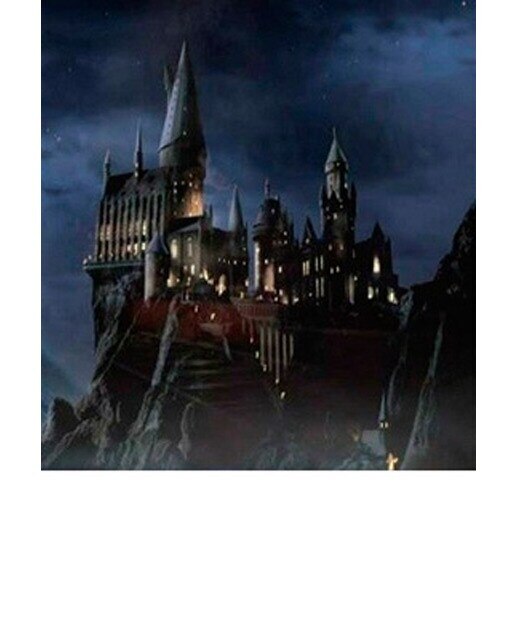Hogwarts: A Cinematic Yearbook 1