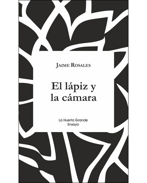 El lápiz y la cámara 1
