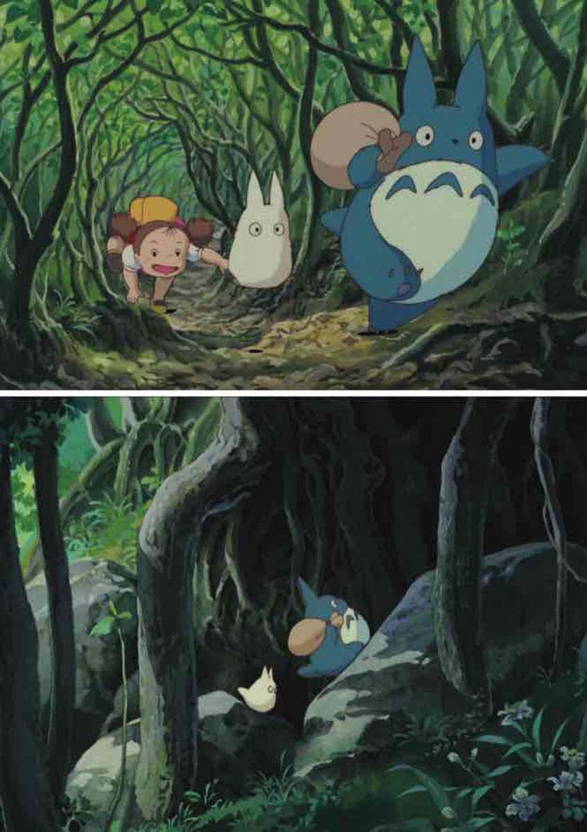 En busca de totoro: apuntes de un paseo 4