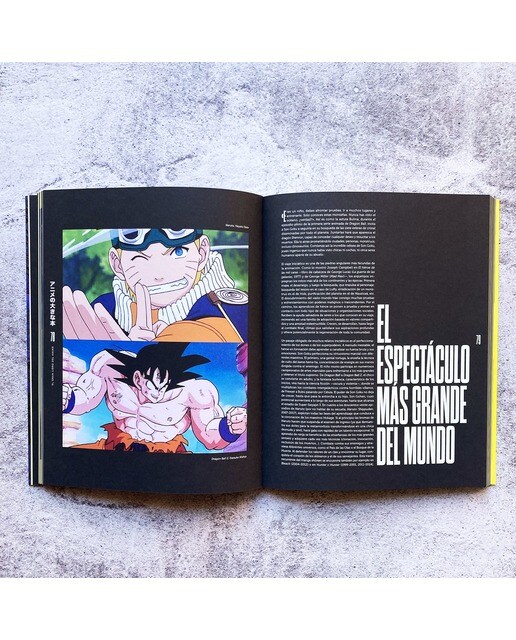 El gran libro del anime: Las obras maestras de la animación japonesa (Capa mole com abas) 2
