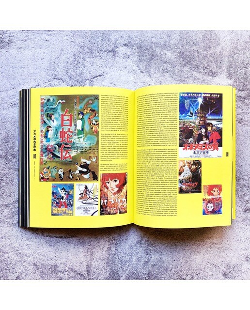 El gran libro del anime: Las obras maestras de la animación japonesa (Capa mole com abas) 4