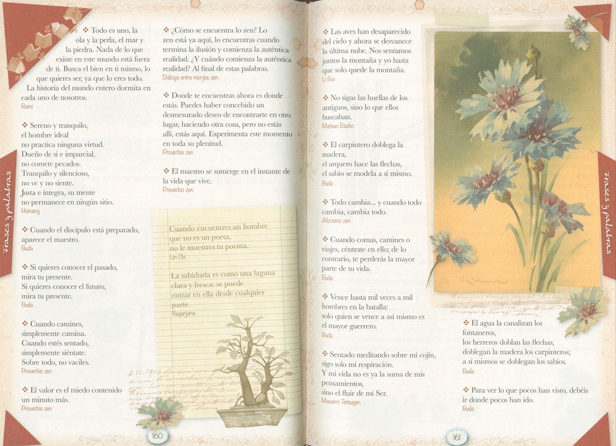 Consejos Y Frases De Cortesia 2