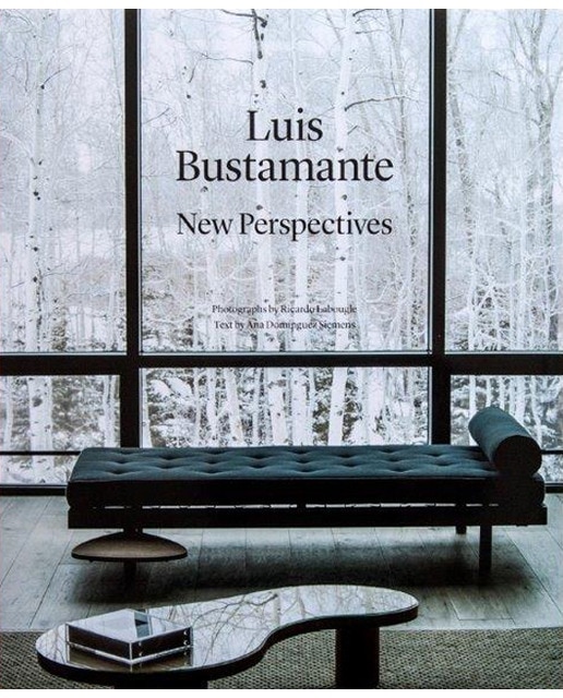 Imagen 0 de Luis Bustamante: New Perspectives (Tapa dura)