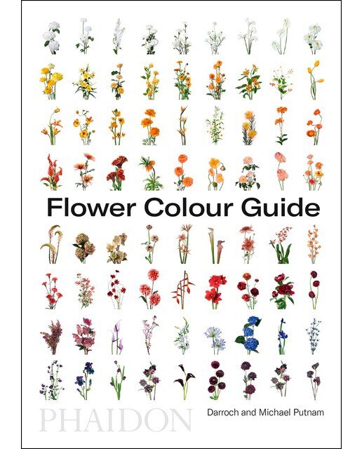 Imagem 0 de Flower colour guide