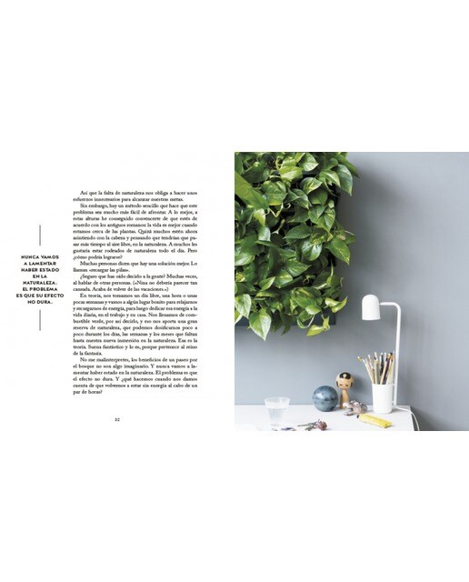 El método Skogluft: Descubre las plantas de interior que cuidan de ti (Capa mole) 4