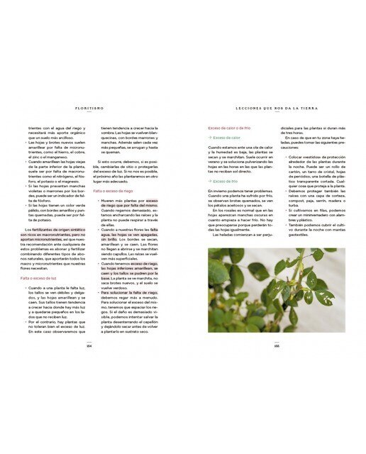 Floritismo: Pon flores en tu vida y cultiva tu bienestar(Tapa dura) 3