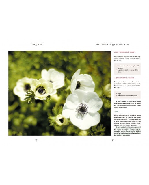 Floritismo: Pon flores en tu vida y cultiva tu bienestar(Tapa dura) 6