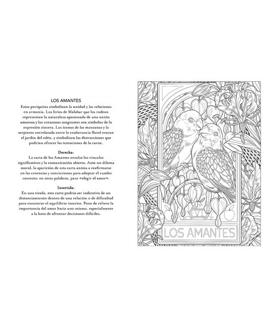 Tarot para colorear: Libros para colorear para adultos(Tapa blanda) 5