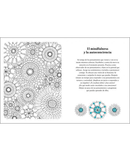 Diario creativo del mindfulness: Actividades para alcanzar la calma en tu día a día (Capa mole) 4