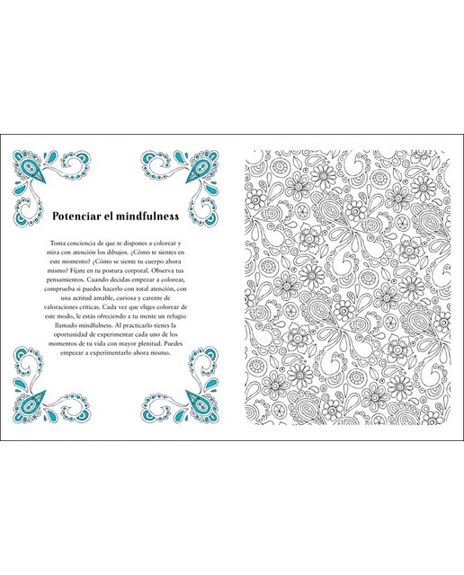 Diario creativo del mindfulness: Actividades para alcanzar la calma en tu día a día (Capa mole) 5