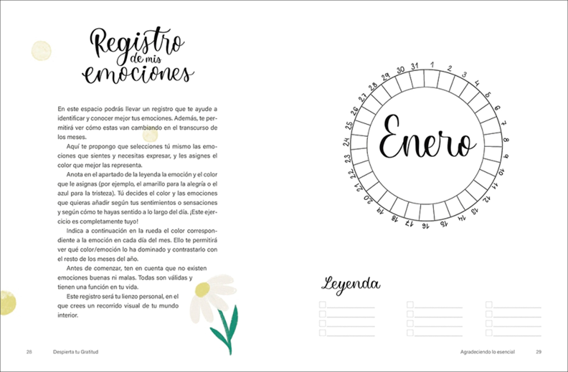 Despierta tu Gratitud: 5 minutos diarios para mejorar tu vida (Capa mole) 4
