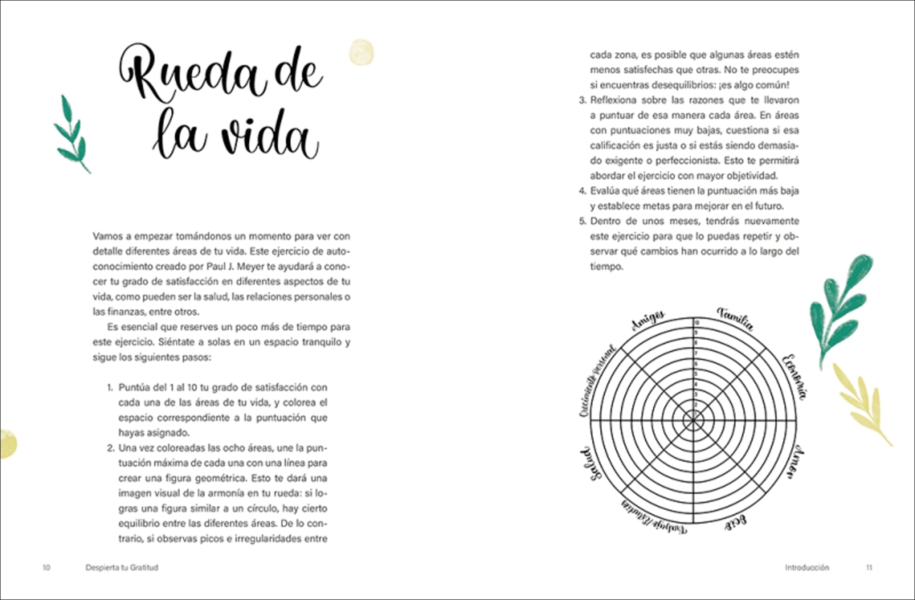 Despierta tu Gratitud: 5 minutos diarios para mejorar tu vida (Capa mole) 5
