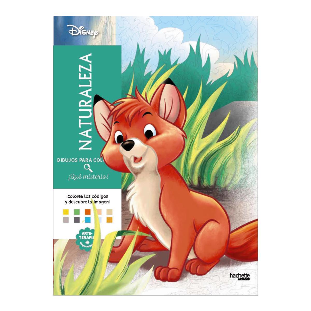 DIBUJOS PARA COLOREAR, ¡QUÉ MISTERIO! NA