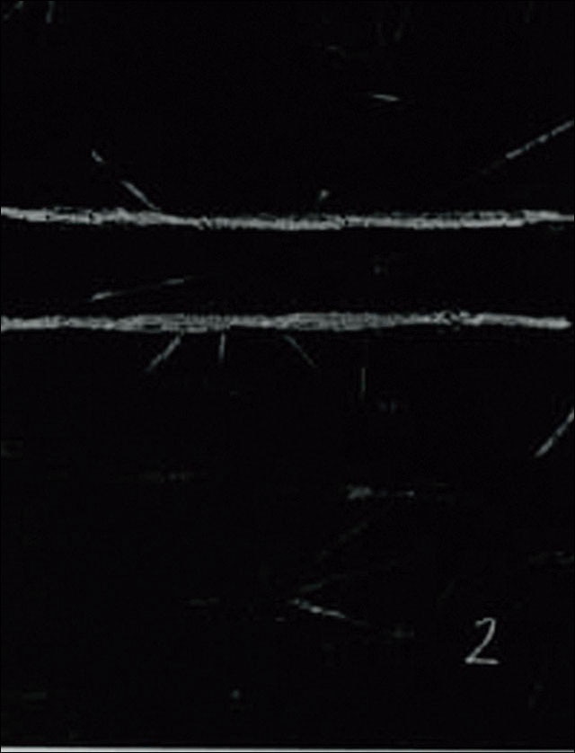 El bulli II ( 1994-1997) (Capa dura) 1