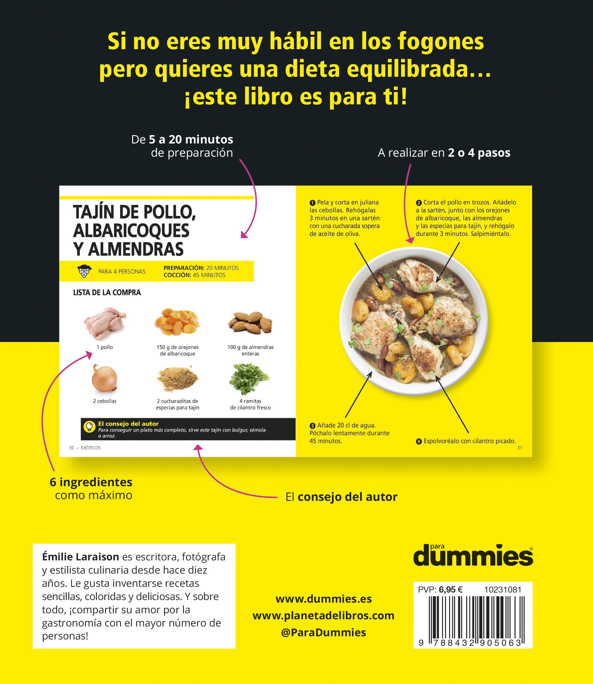 Plato único para Dummies (Capa dura) 2