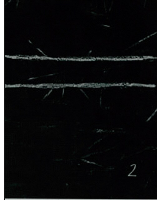El bulli - frances ( 1998-2002)(Tapa dura) 1