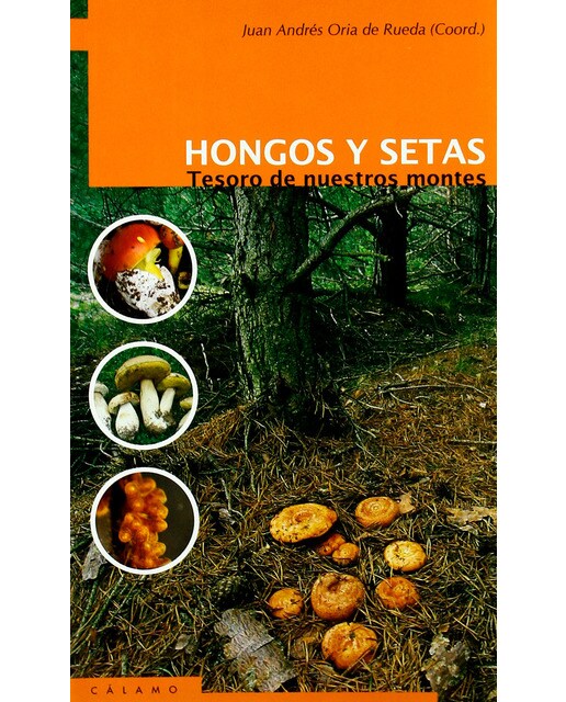 Imagen 0 de Hongos y setas. Tesoro de nuestros montes