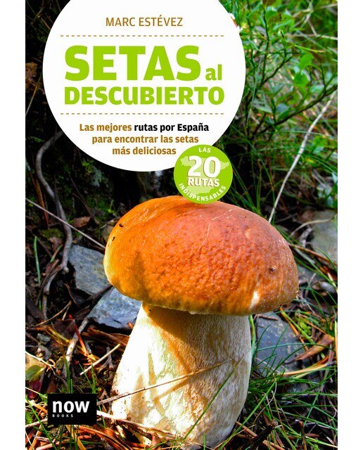 Imagen 0 de Setas al descubierto  (Tapa blanda con solapas)