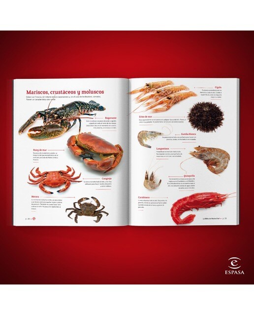La Biblia de MasterChef (Capa dura) 2
