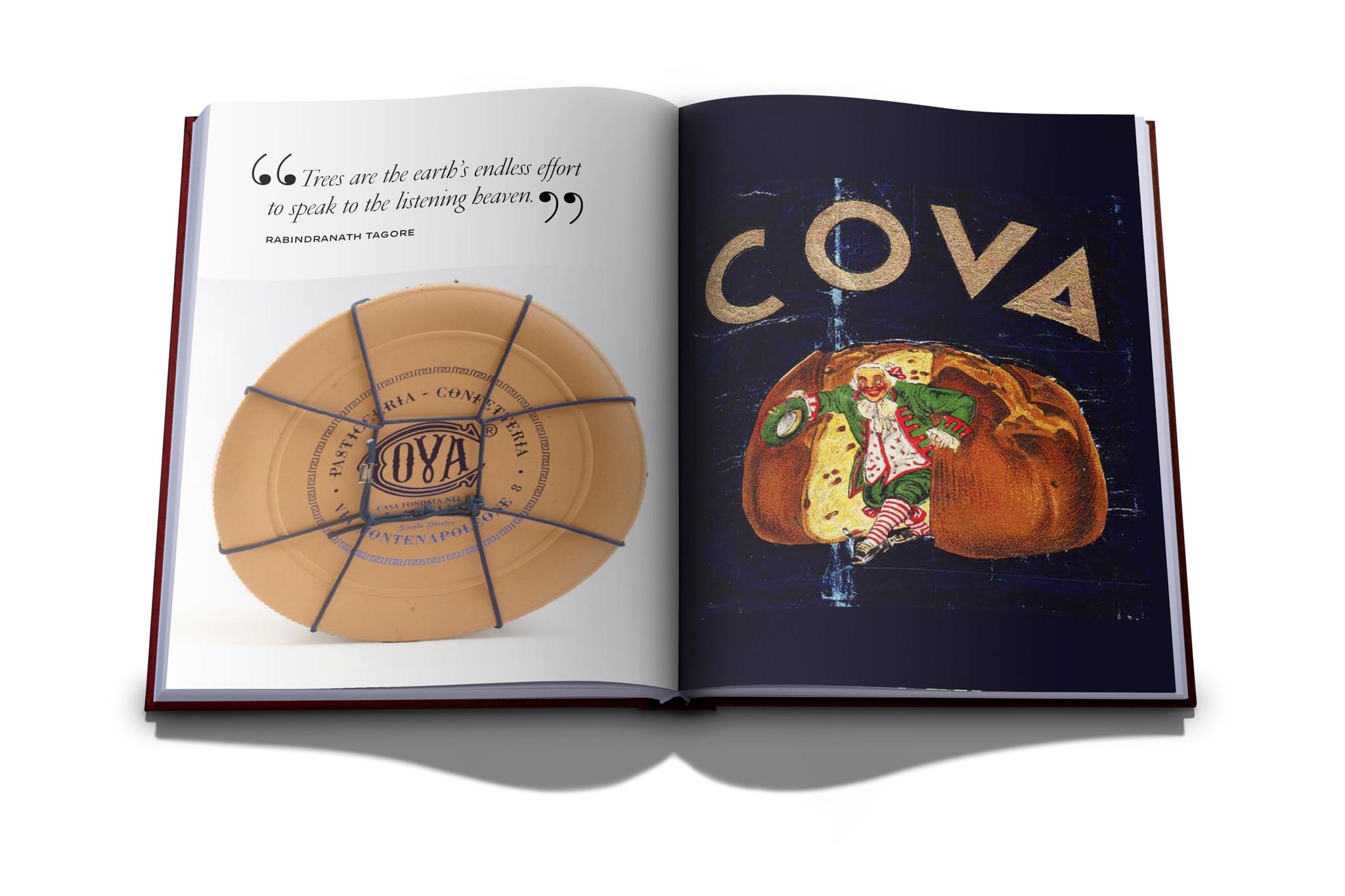 Cova milano 6