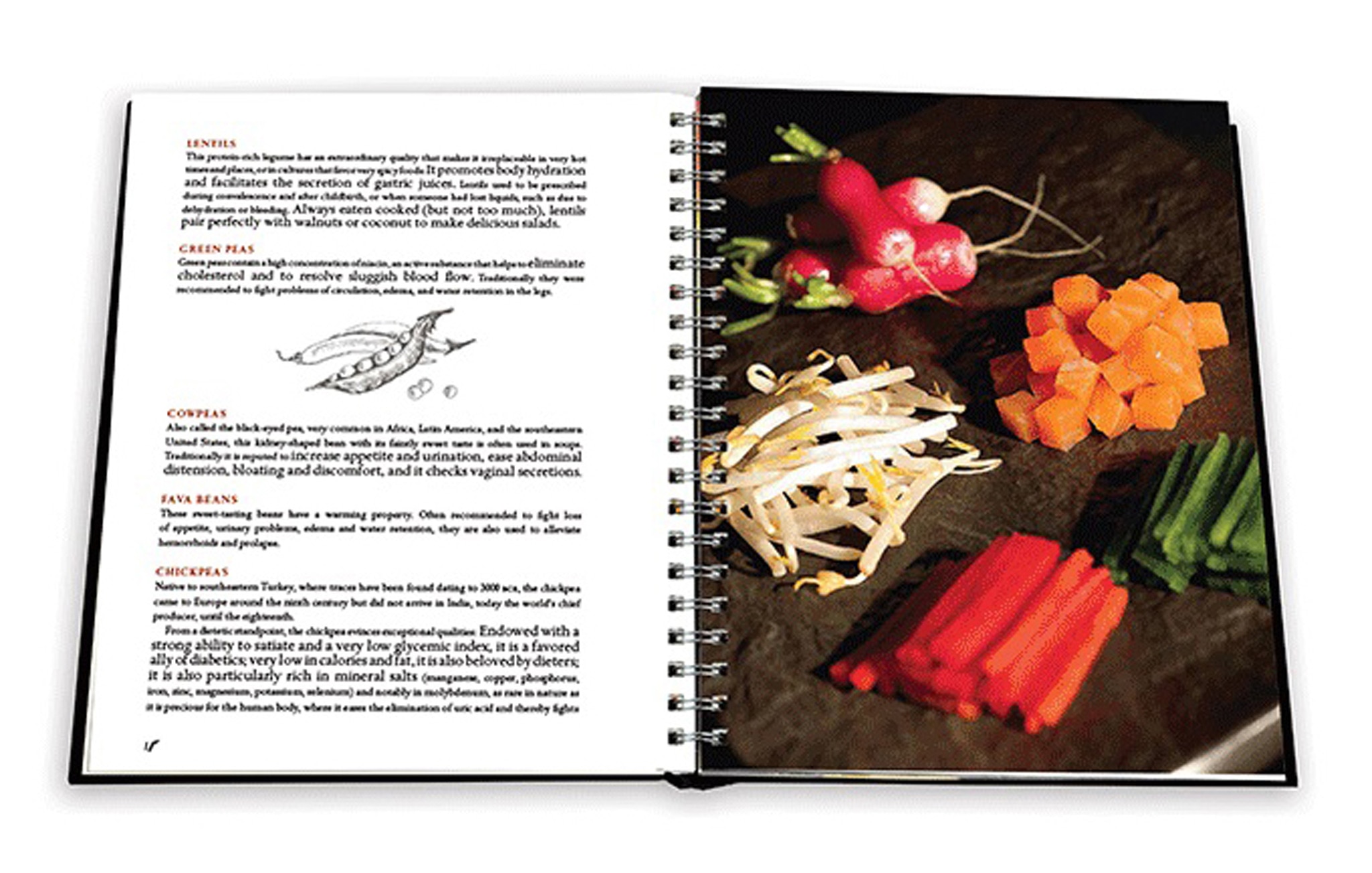 Food & life: joel robuchon [french] 5