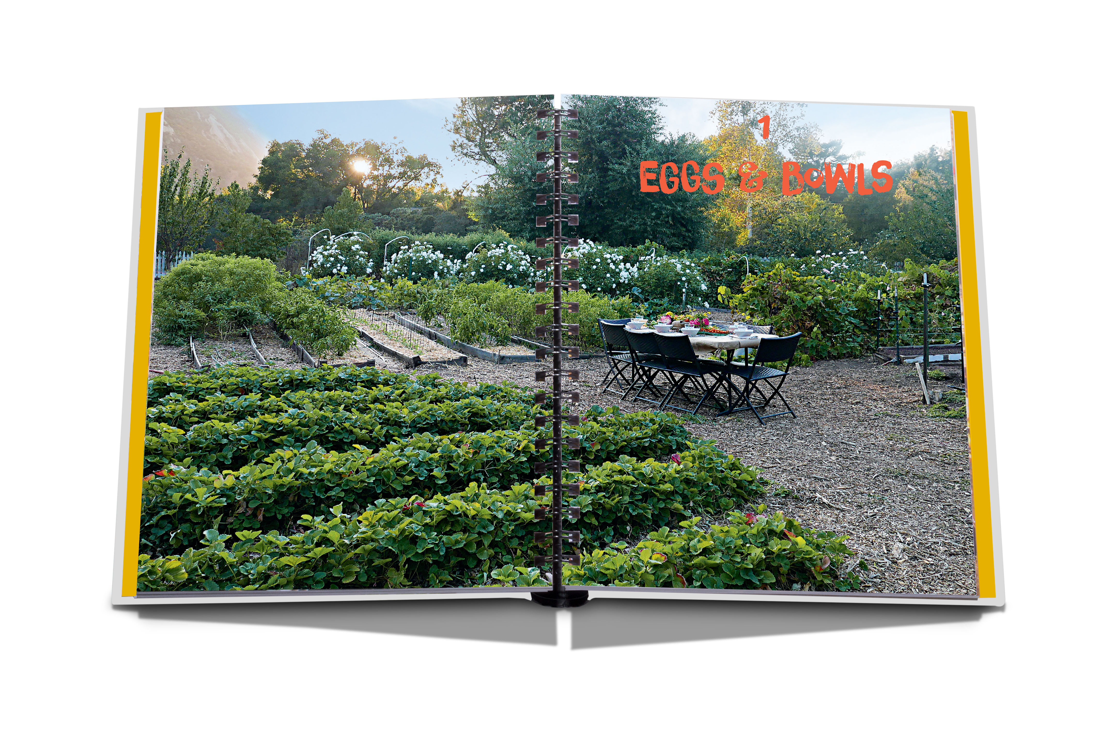 The ashram: the way we eat 4