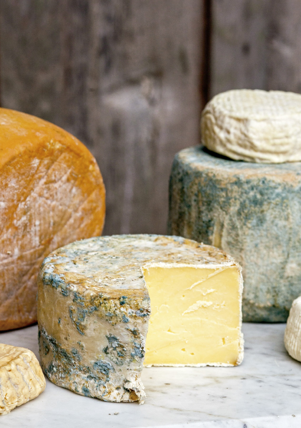 El arte de hacer queso (Capa mole com abas) 2