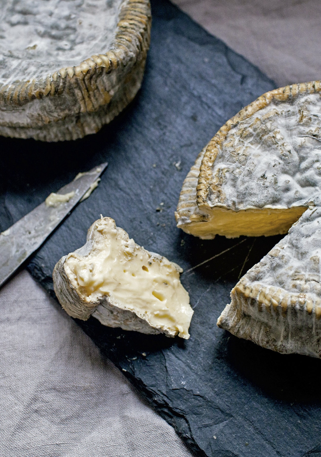 El arte de hacer queso (Capa mole com abas) 6