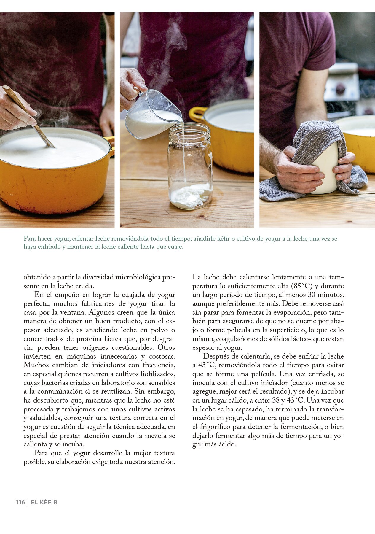 El arte de hacer queso (Capa mole com abas) 7