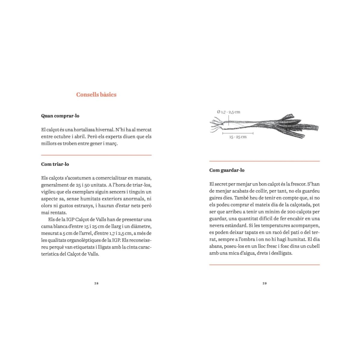 La calçotada ideal (ed. actualitzada) (Capa dura) 4