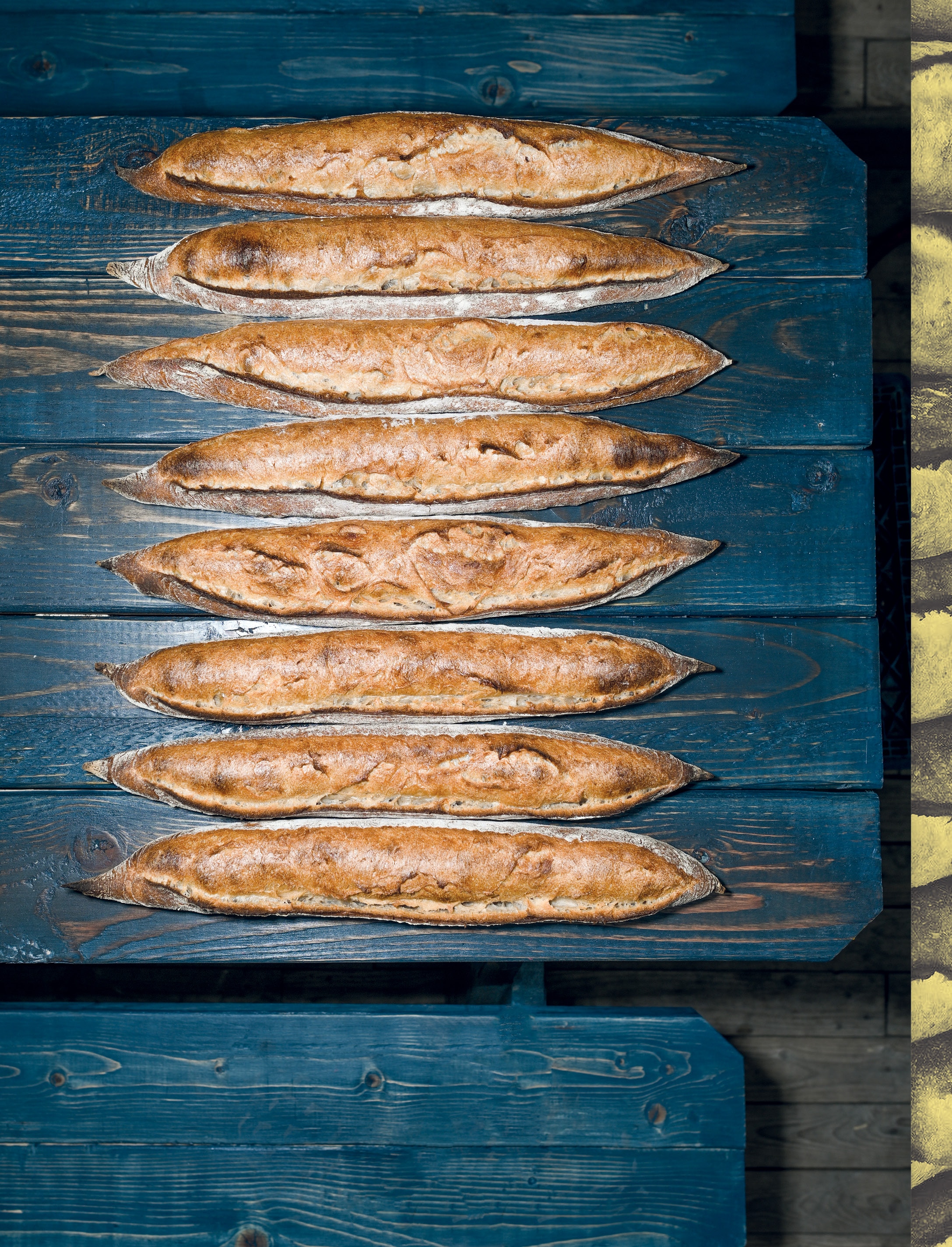 El libro del pan: Reflexiones e innovaciones sobre el futuro de los cereales, la harina y la fermentación 4