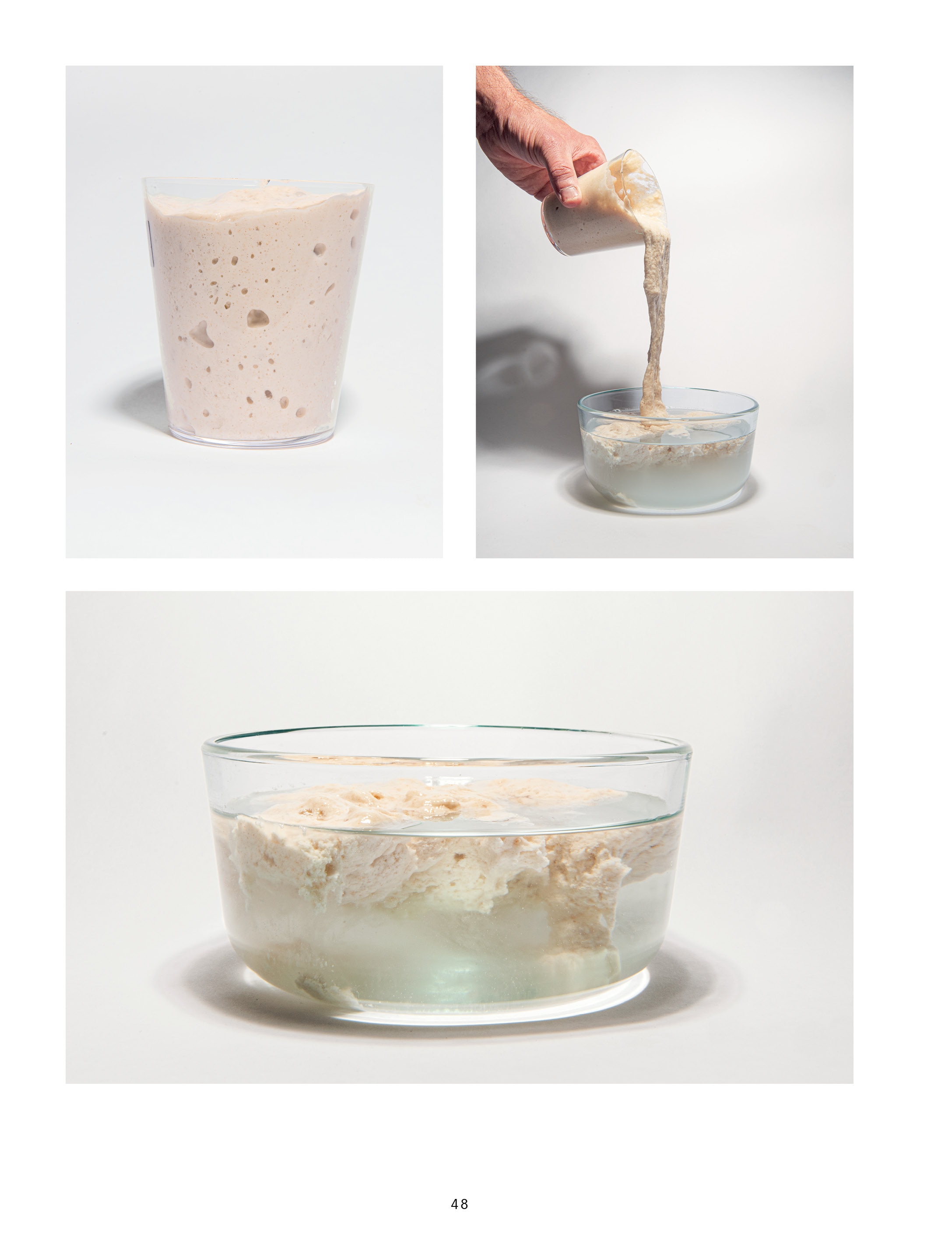El libro del pan: Reflexiones e innovaciones sobre el futuro de los cereales, la harina y la fermentación 7