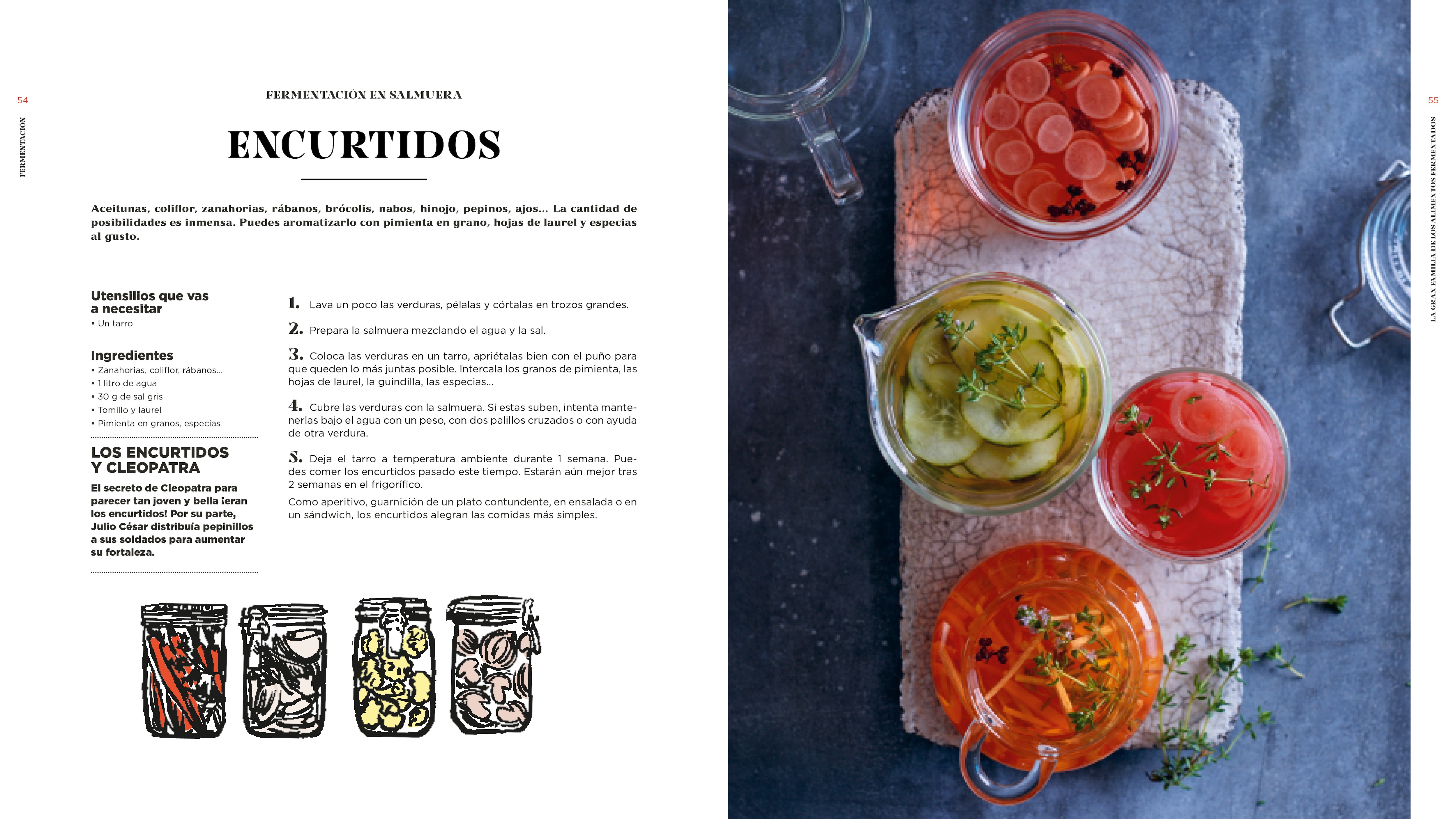 Fermentación: Historia, usos y recetas 2