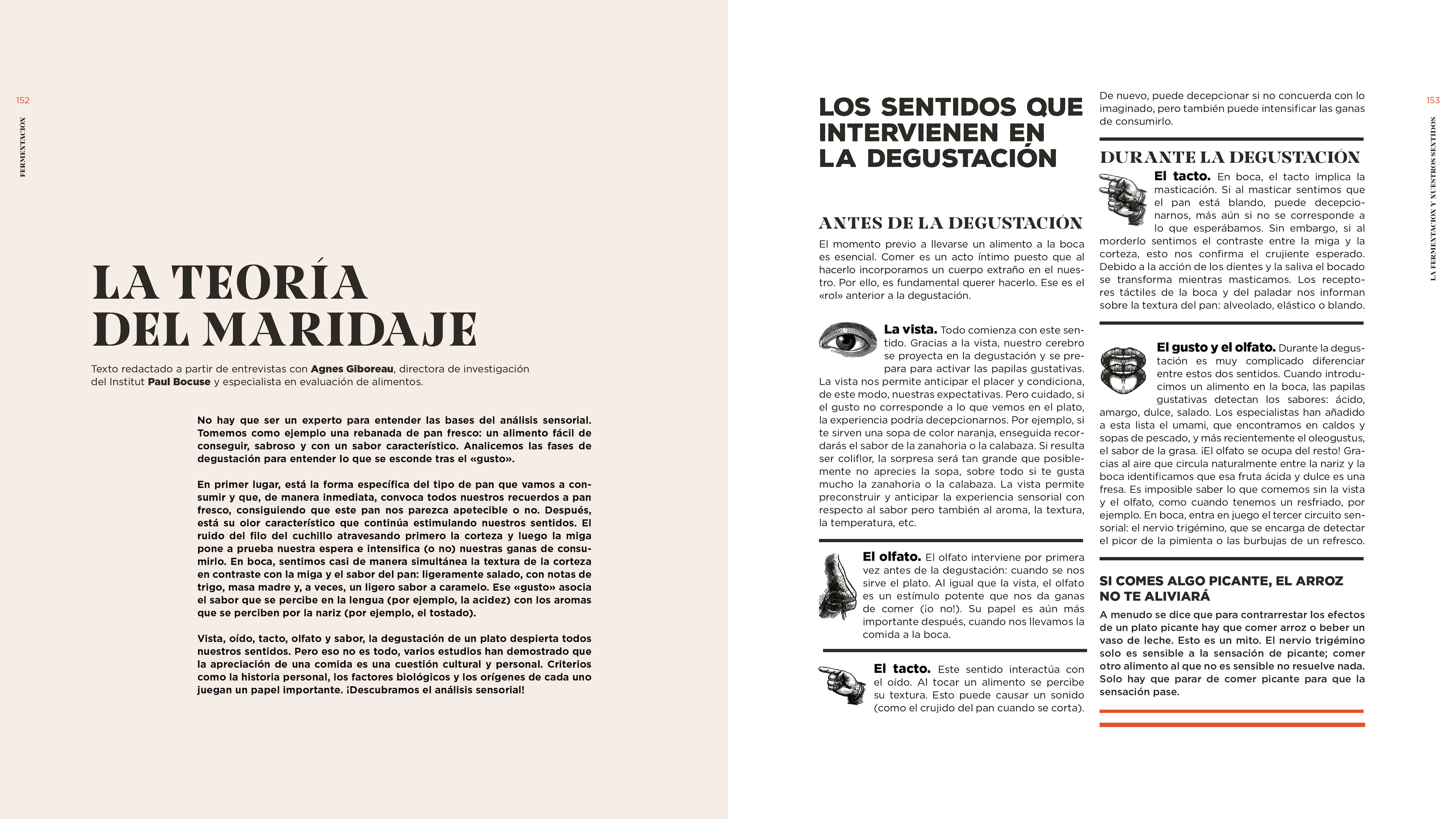 Fermentación: Historia, usos y recetas 4