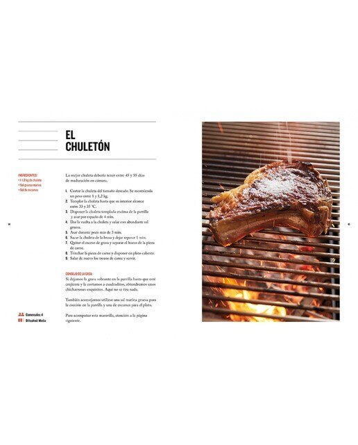 La barbacoa (Capa mole) 8