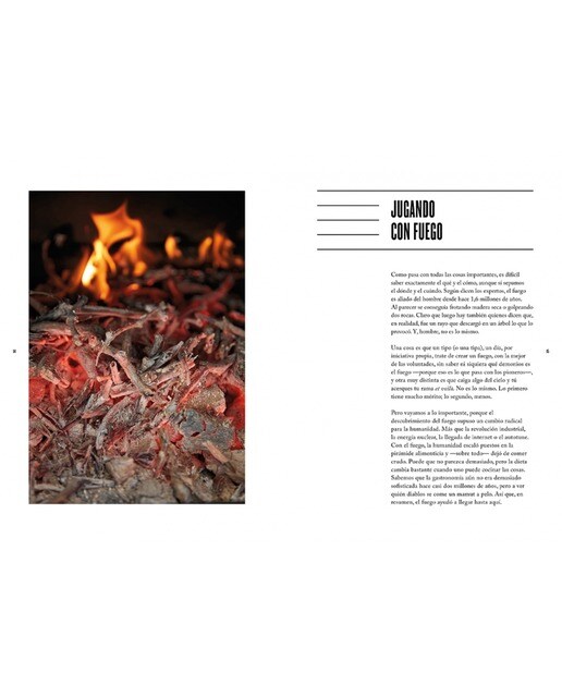 La barbacoa (Capa mole) 11