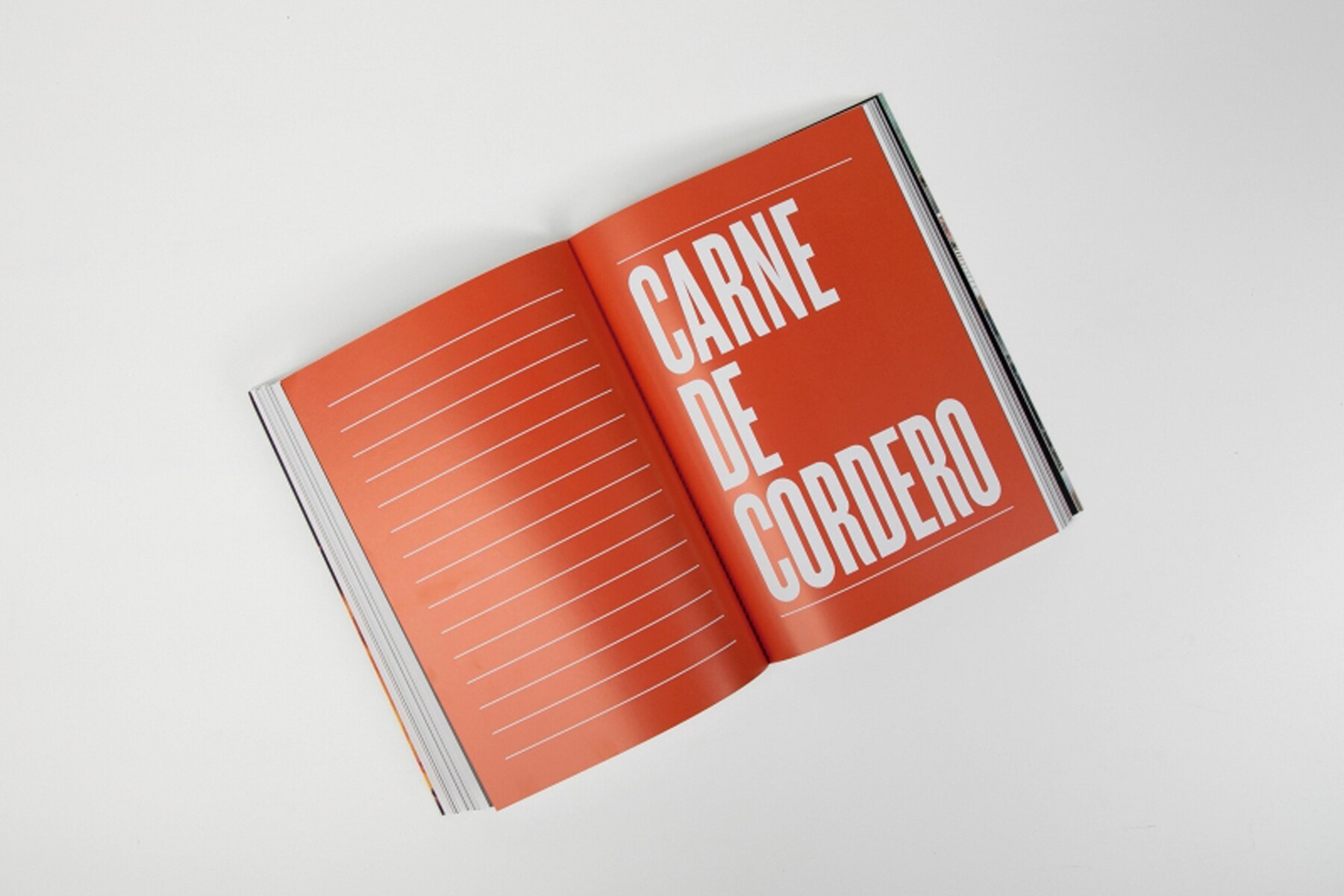 La barbacoa (Capa mole) 12