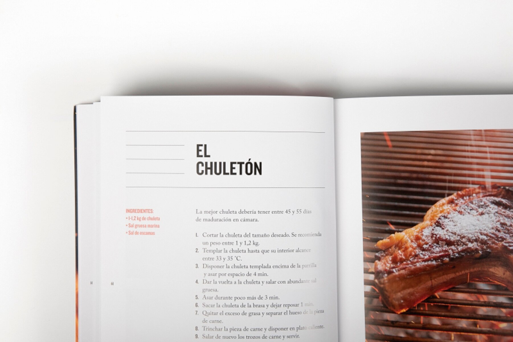 La barbacoa (Capa mole) 13